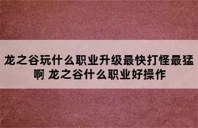 龙之谷玩什么职业升级最快打怪最猛啊 龙之谷什么职业好操作